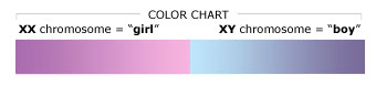 gendermaker-colorchart